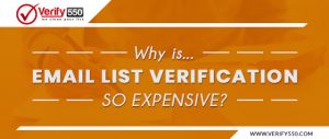 Why is email list verification so expensive